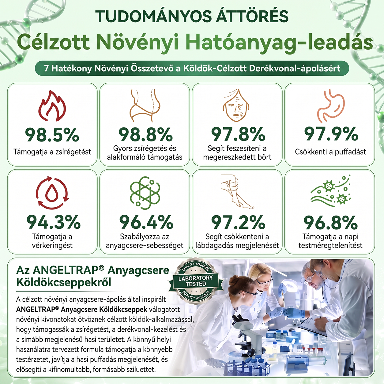 ANGELTRAP®🎃 köldökcseppek – Fejlett transzdermális metabolikus cseppek