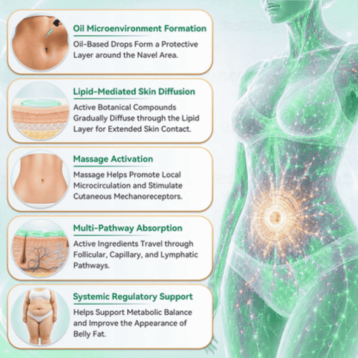 ANGELTRAP®🎃 köldökcseppek – Fejlett transzdermális metabolikus cseppek
